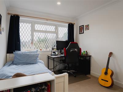 Picture 19